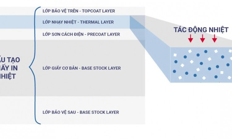 Cấu tạo của giấy in hóa đơn nhiệt